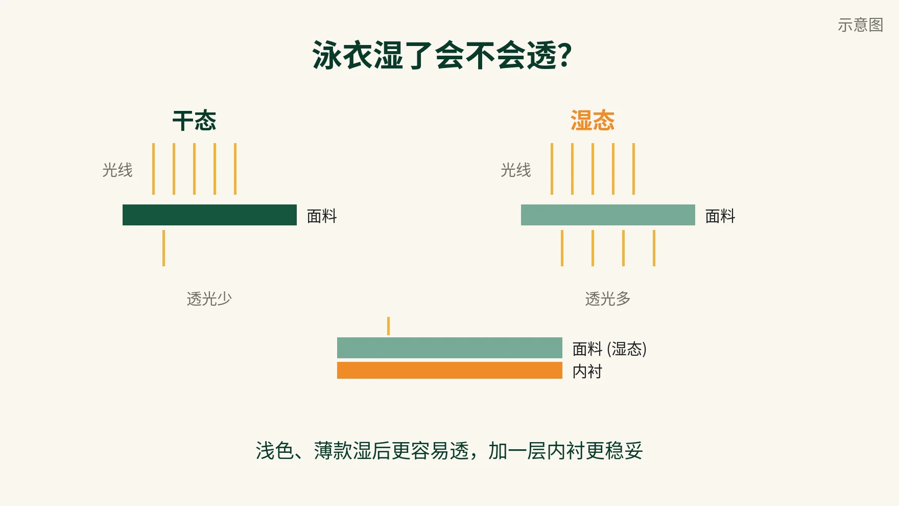示意图：泳衣面料干态与湿态透光对比，以及内衬分层